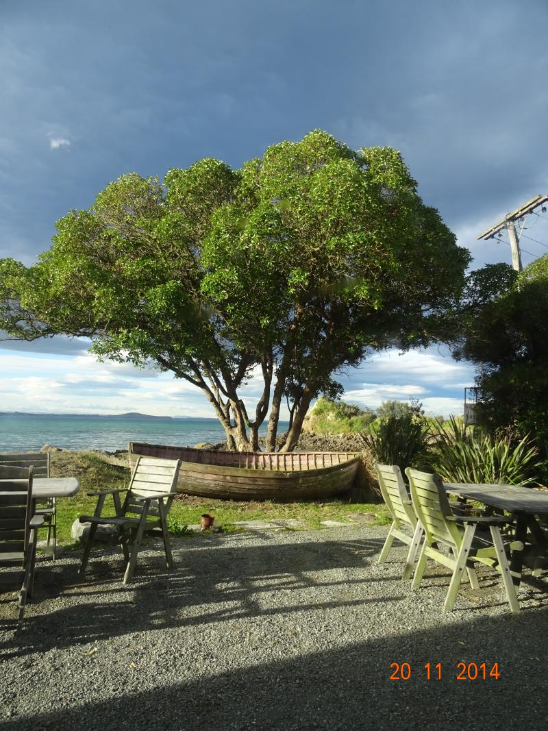 Featured image of post WHO IS READY FOR LIFE?